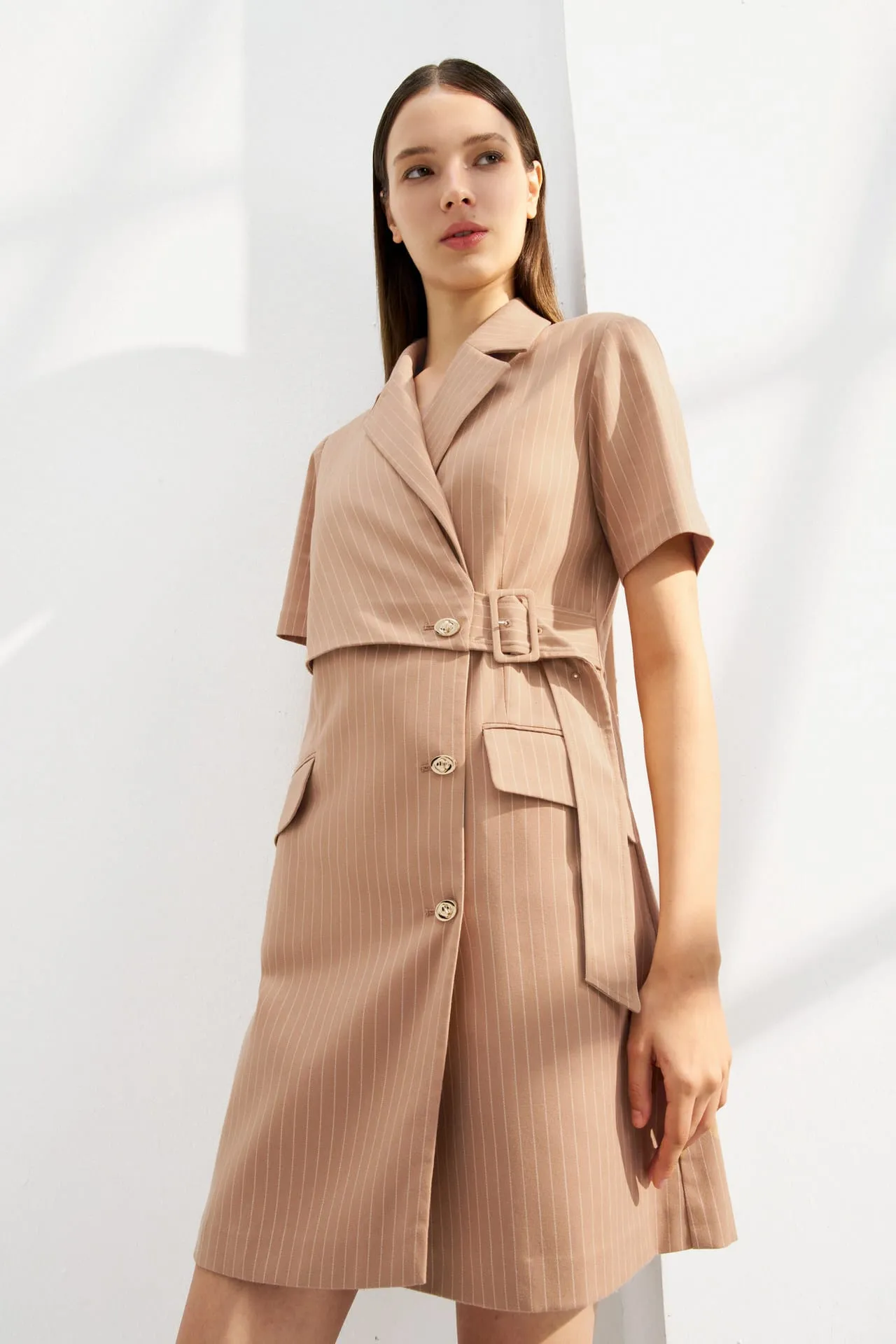 A-Shape Stripe Blazer Dress