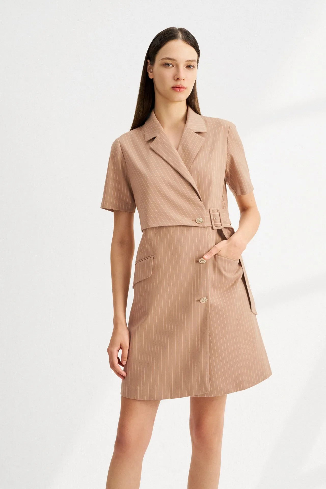 A-Shape Stripe Blazer Dress