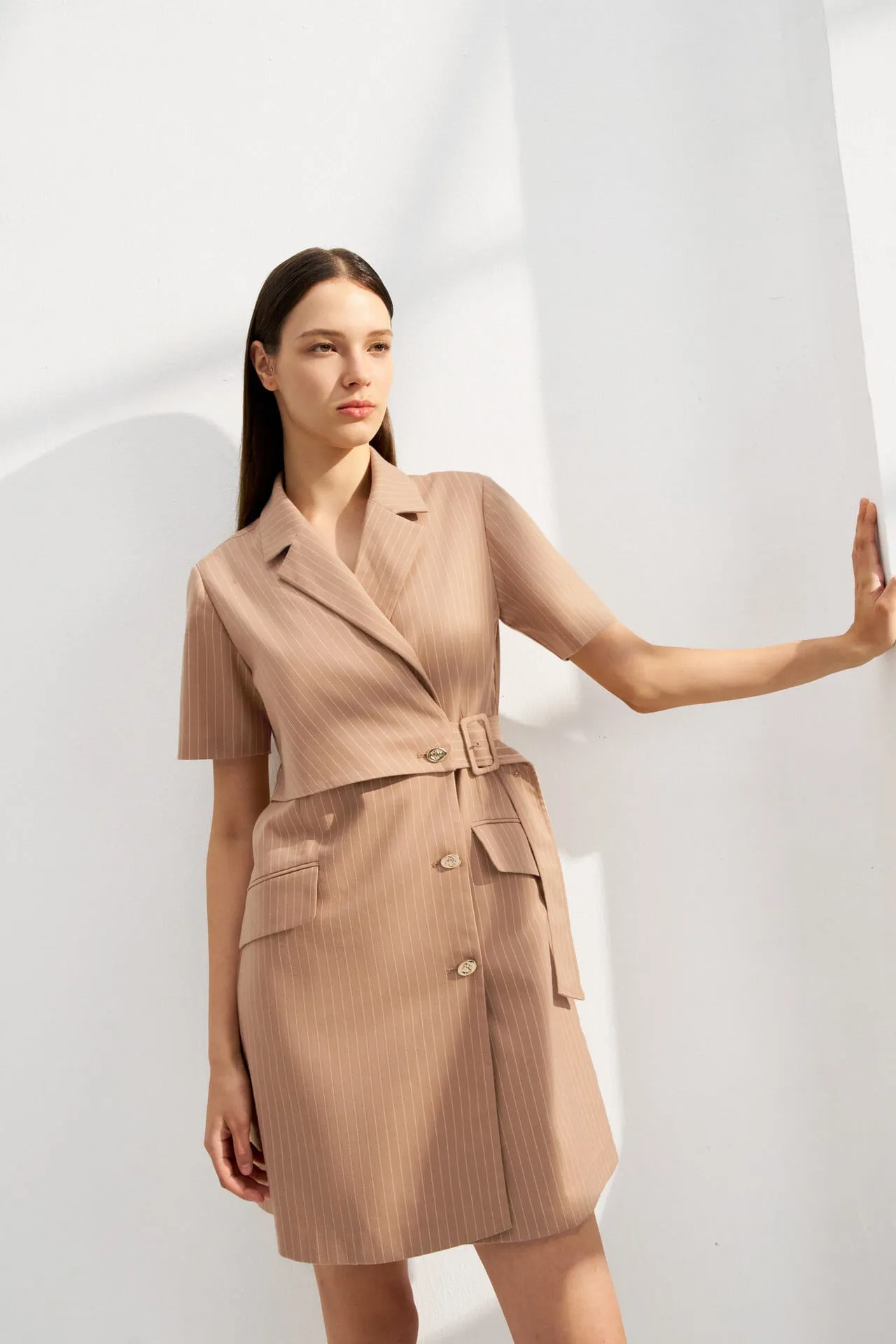 A-Shape Stripe Blazer Dress