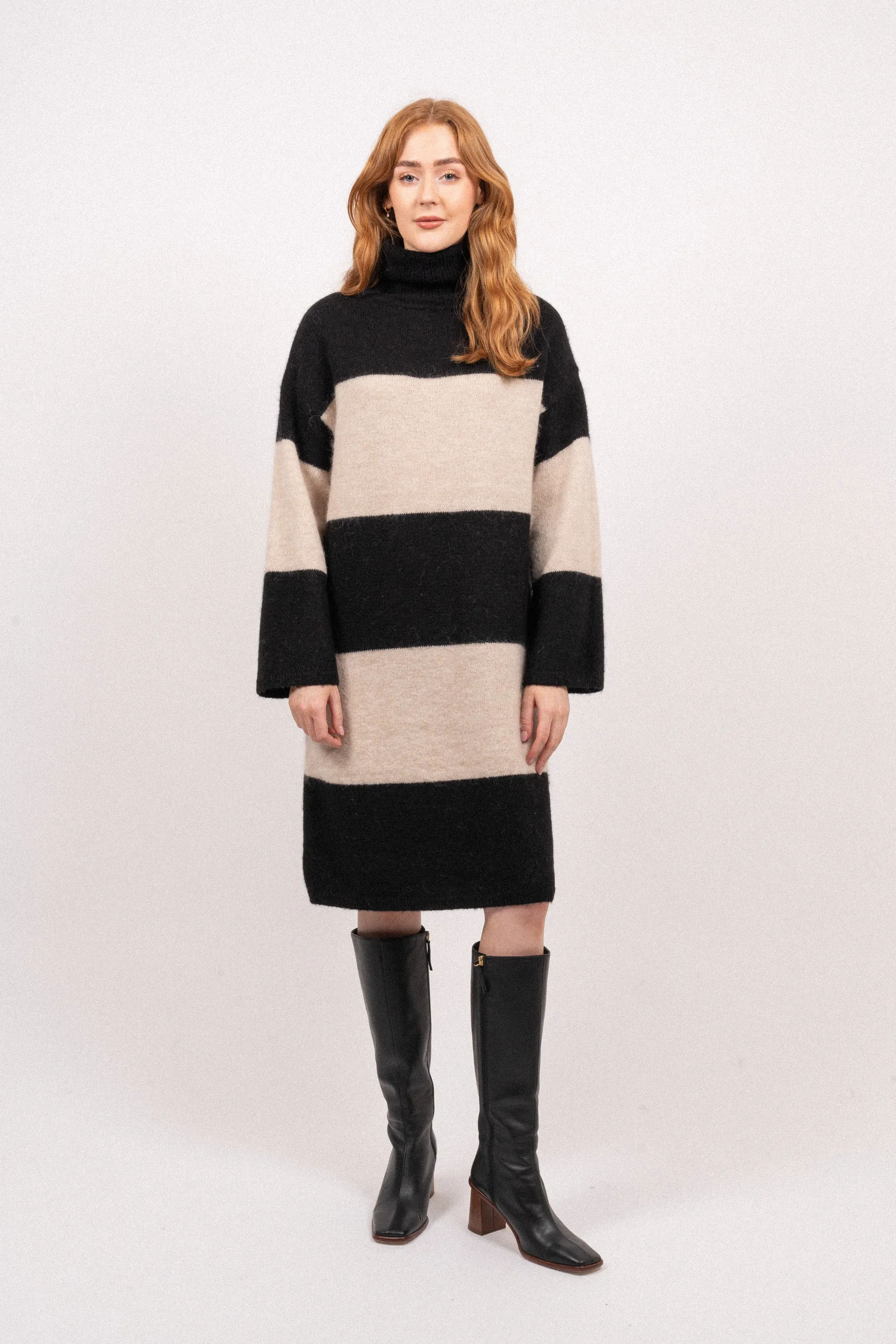 Alva LS Knit High Neck Dress - Black Birch