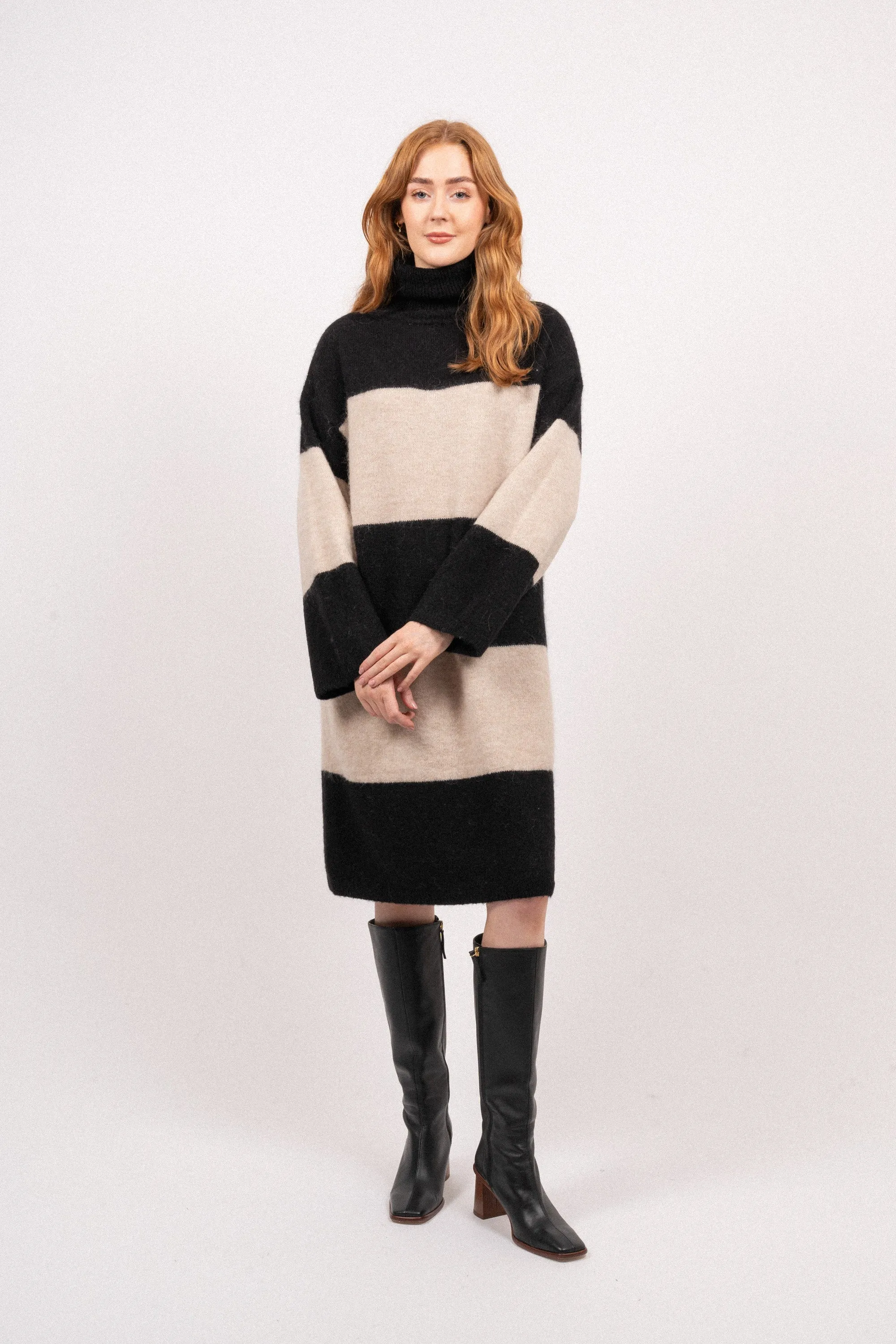 Alva LS Knit High Neck Dress - Black Birch