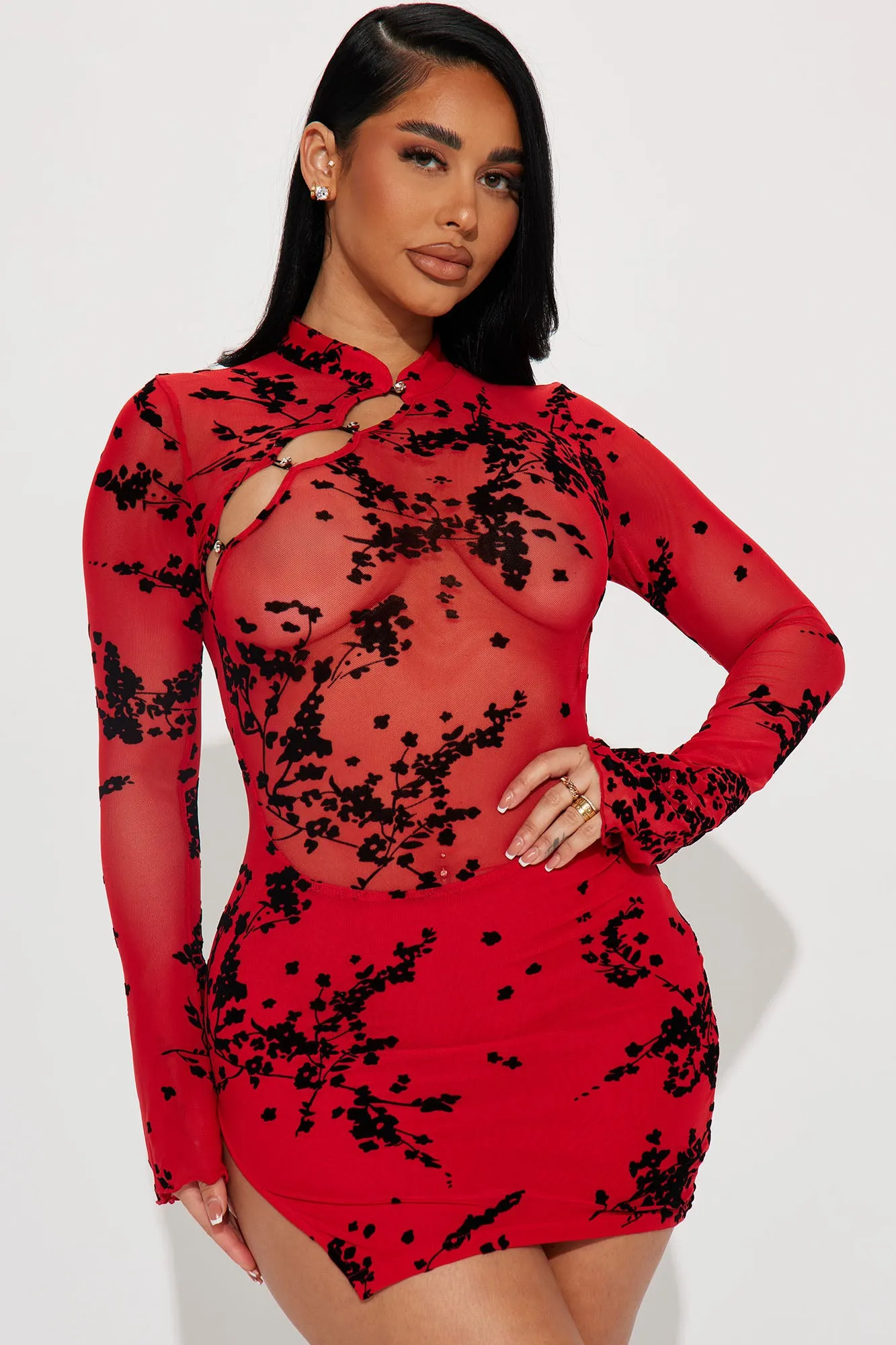 Anastasia Mesh Mini Dress - Red