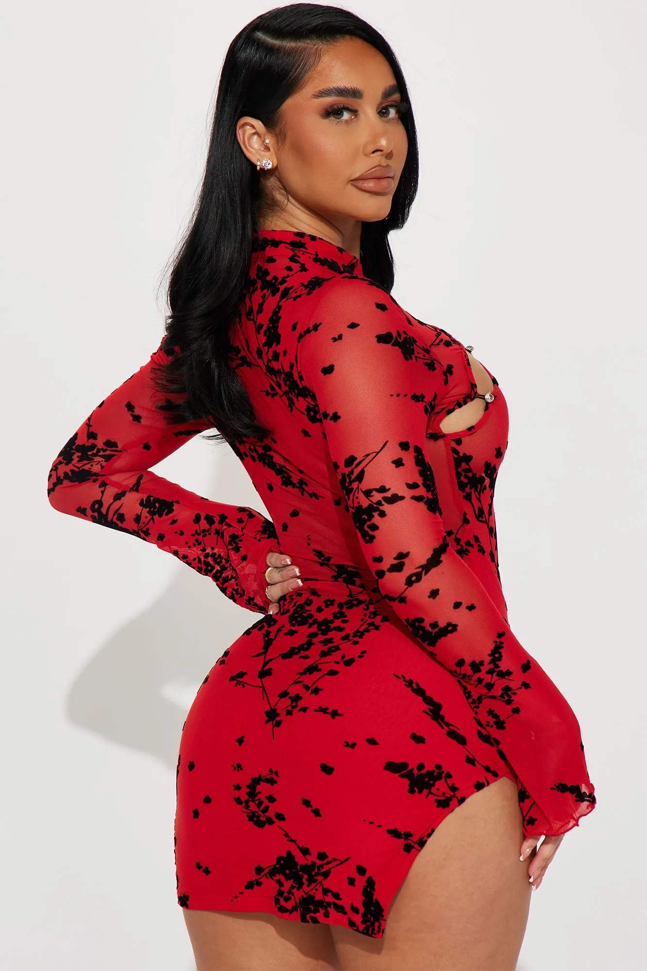 Anastasia Mesh Mini Dress - Red