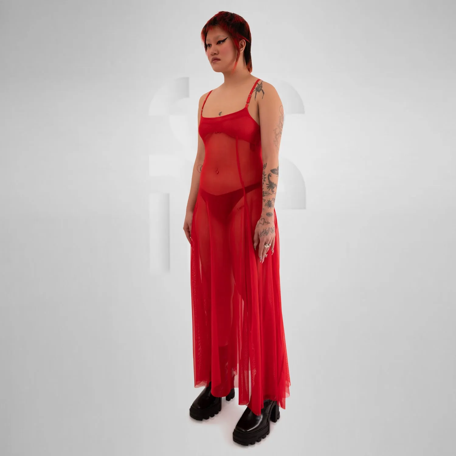Ethereal Sheer Maxi Dress