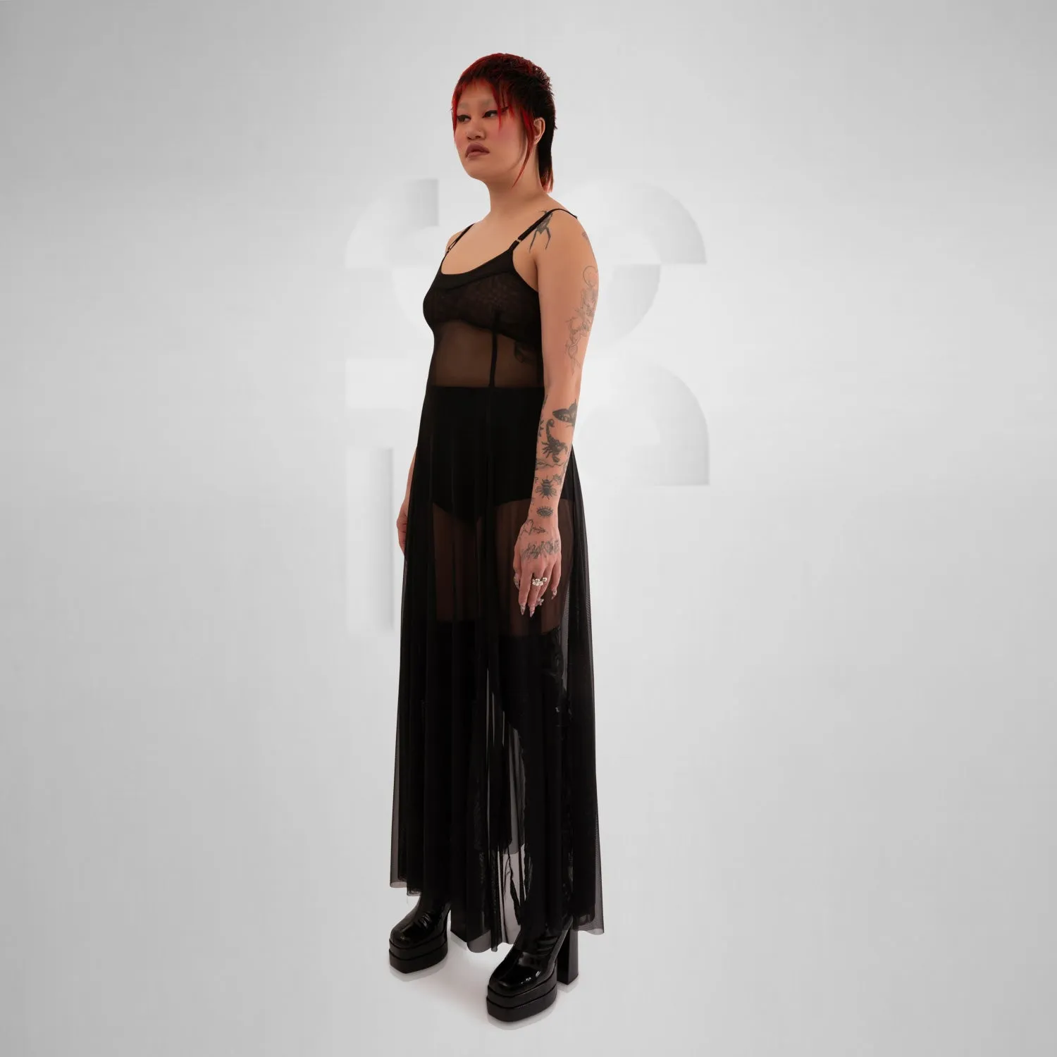 Ethereal Sheer Maxi Dress