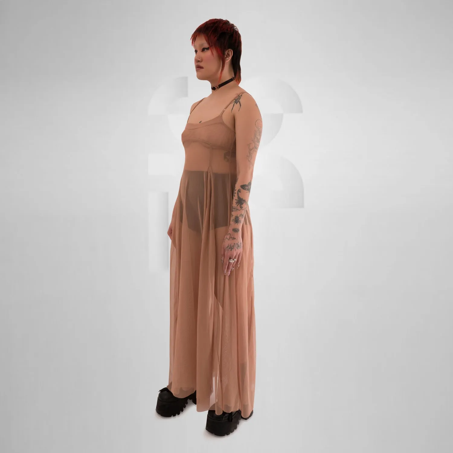 Ethereal Sheer Maxi Dress