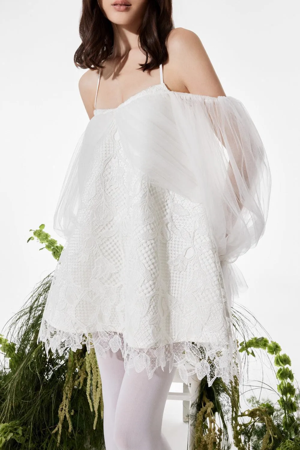 Farissa Trapezoid Cold Shoulder Sleeved Lace Mini Dress