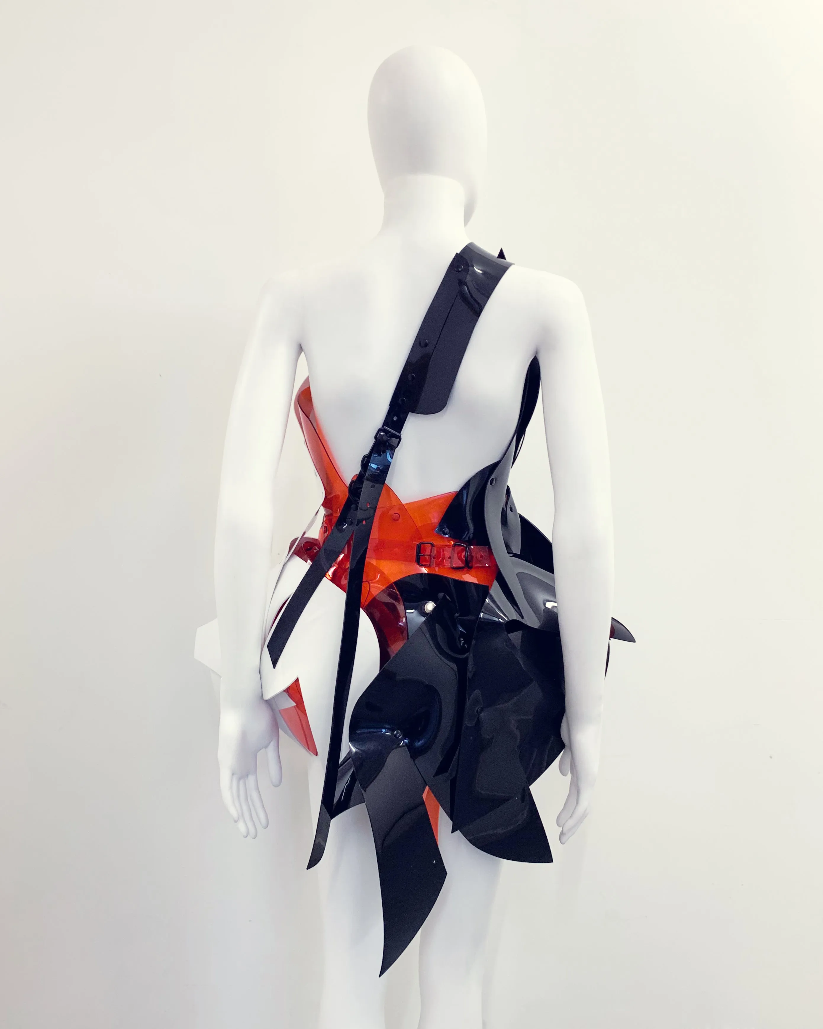 Jivomir Domoustchiev Tre Colore Dress