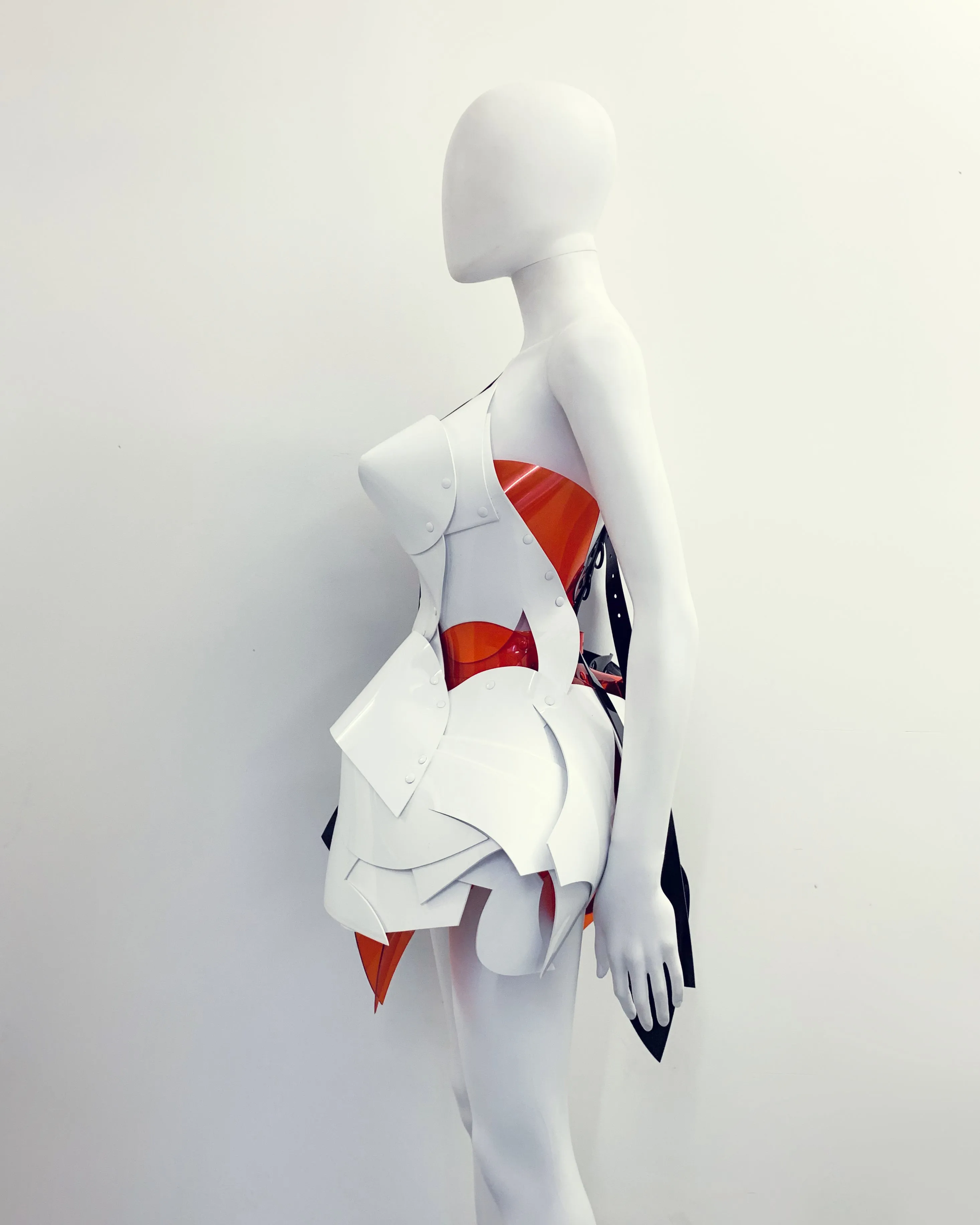Jivomir Domoustchiev Tre Colore Dress