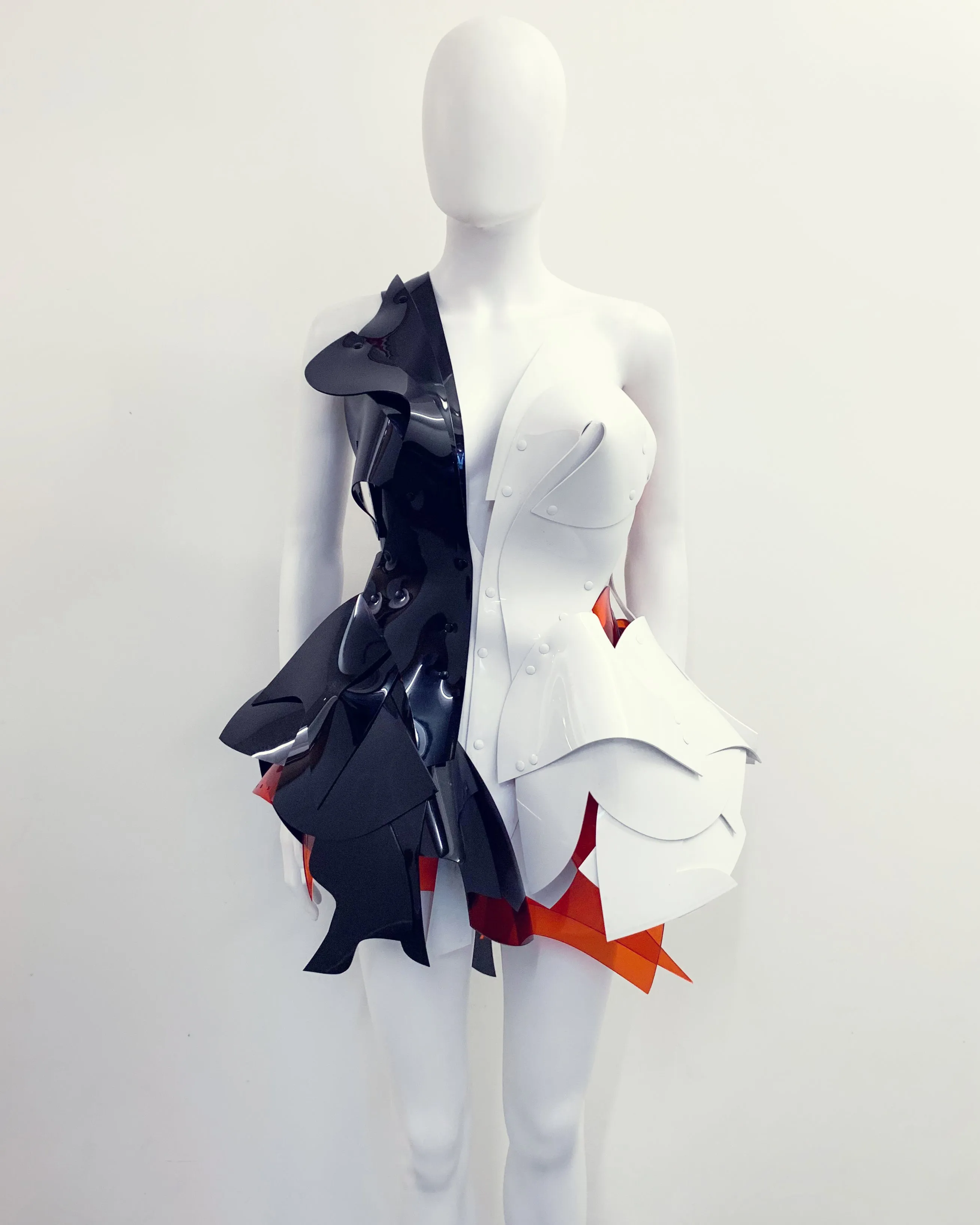 Jivomir Domoustchiev Tre Colore Dress