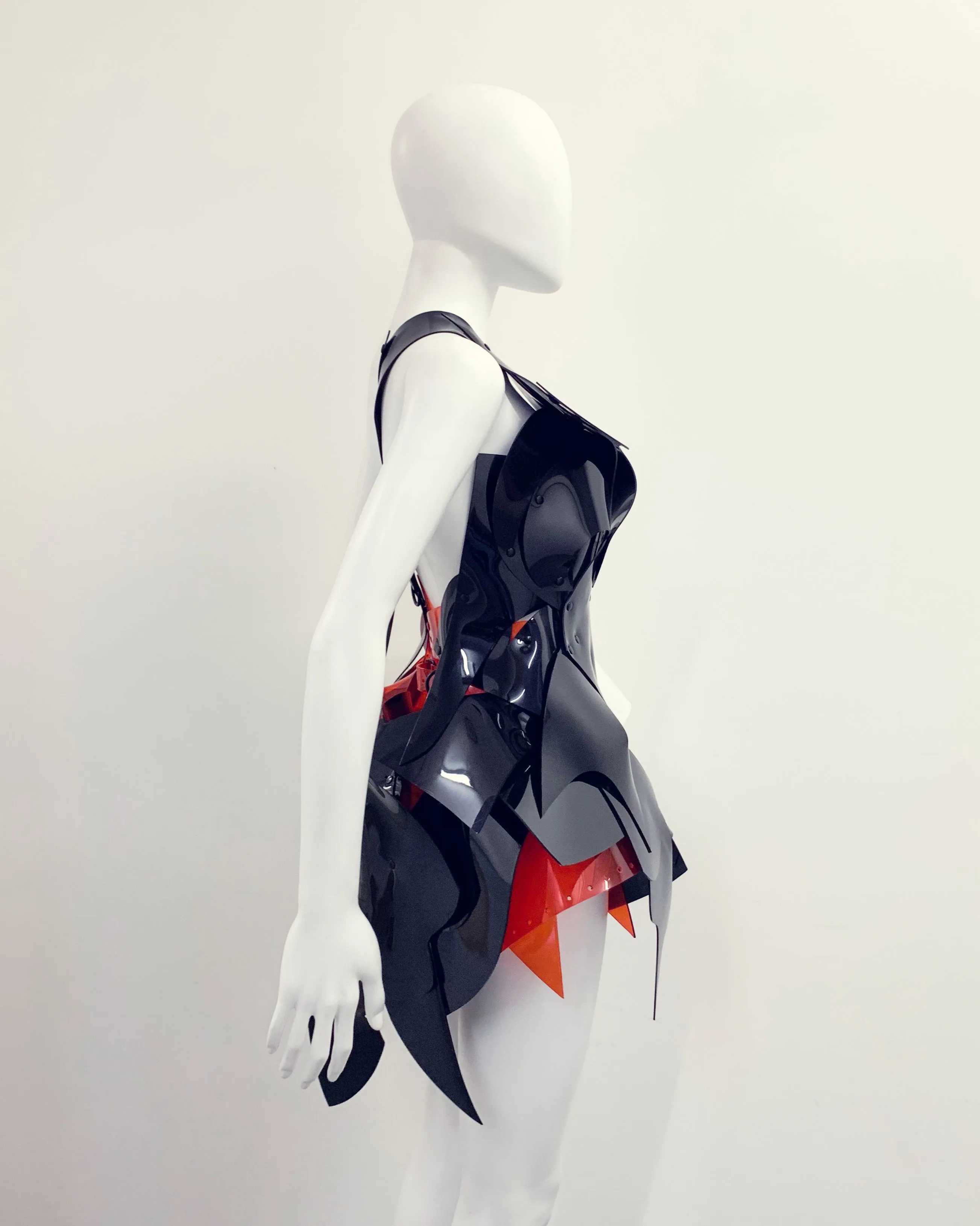 Jivomir Domoustchiev Tre Colore Dress
