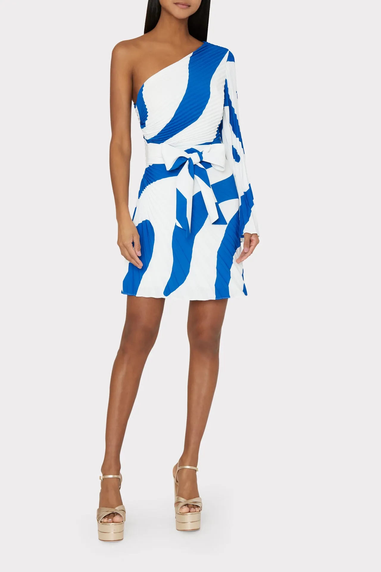 Linden Printed Pleated Dress