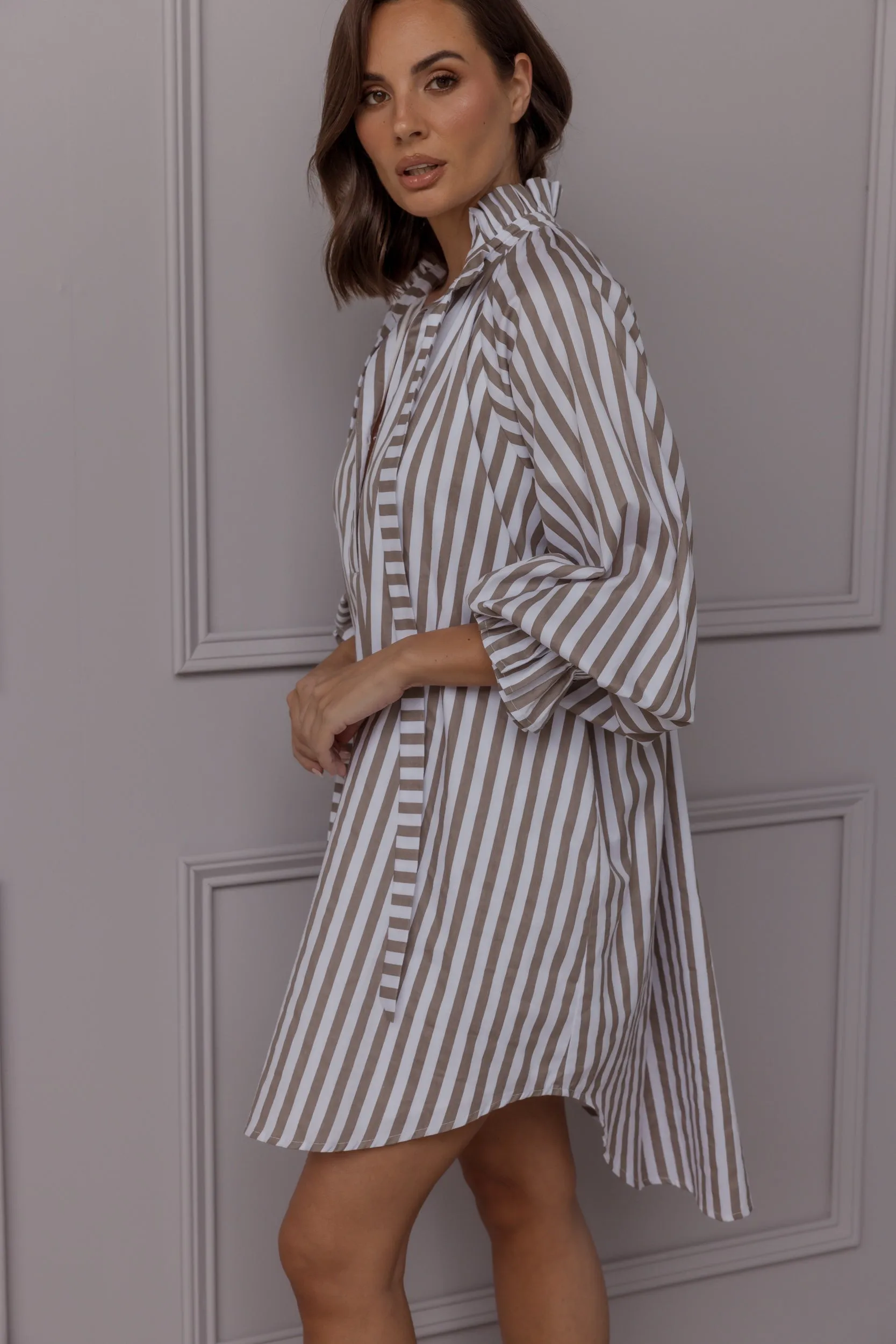 LYCIUM Dress Taupe Stripe