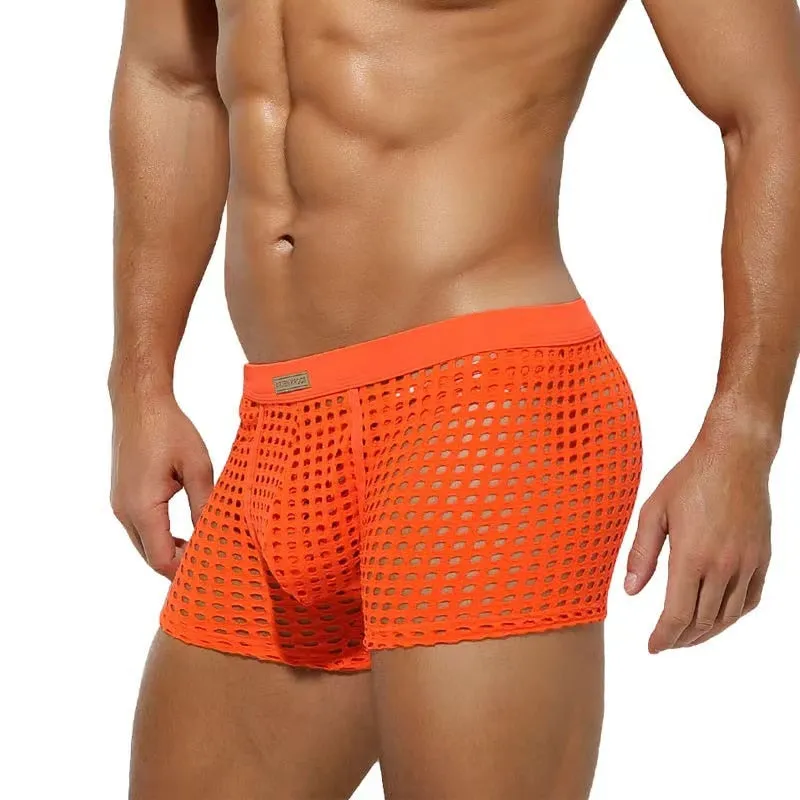 Mesh Hollowed Out Fun Boxer Briefs