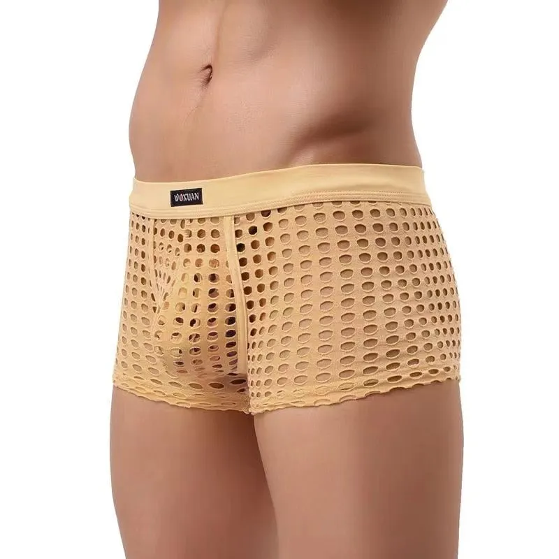 Mesh Hollowed Out Fun Boxer Briefs