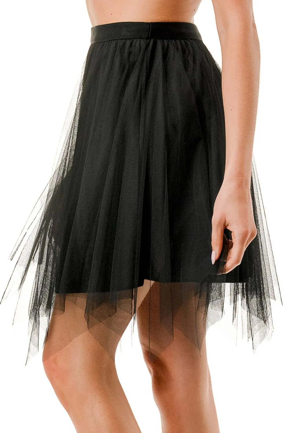 Mesh Pleated Skirt