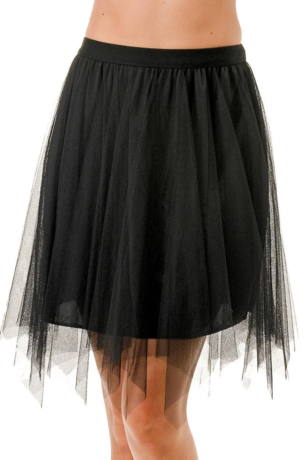 Mesh Pleated Skirt