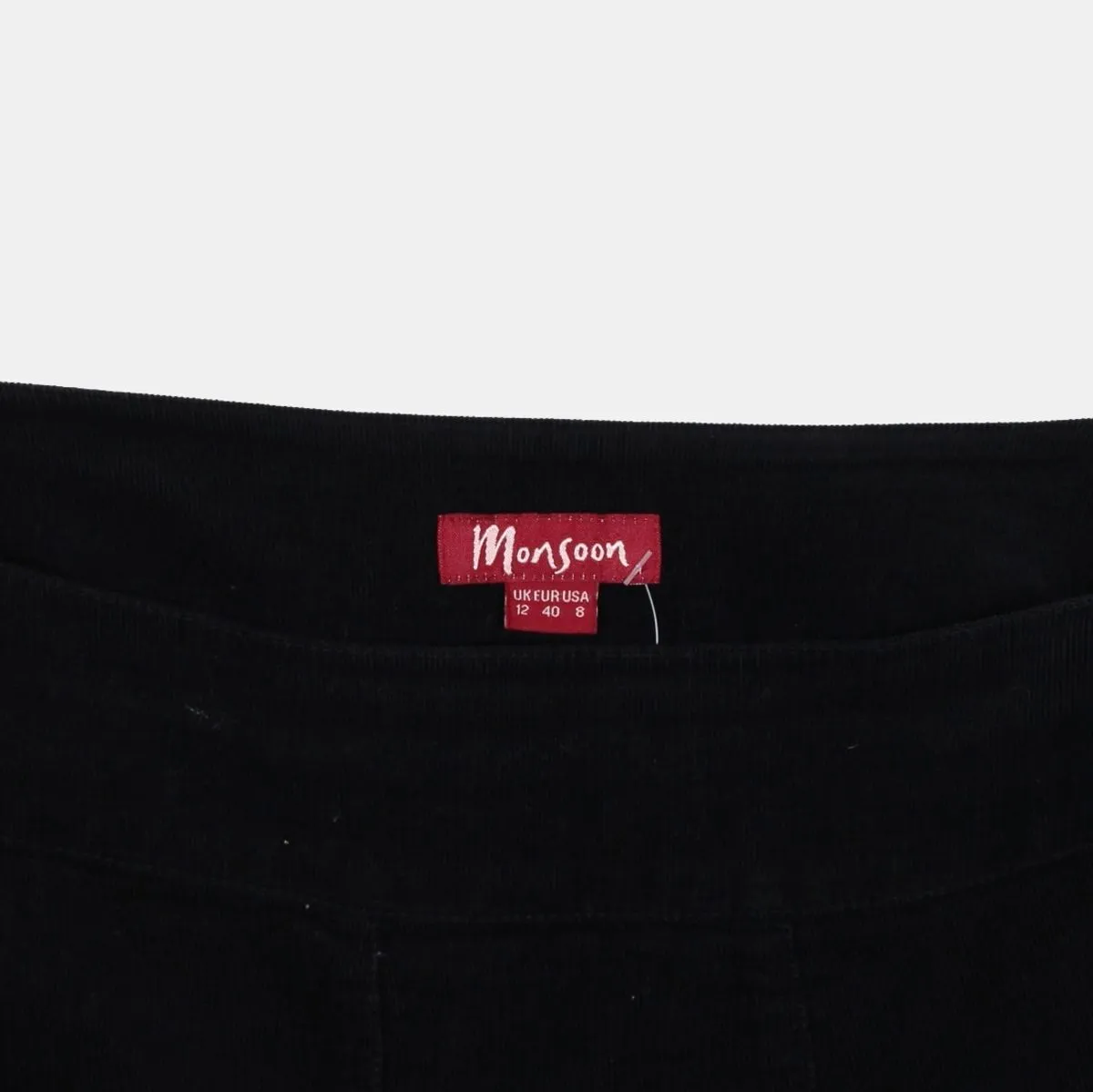 Monsoon Pleated Skirt