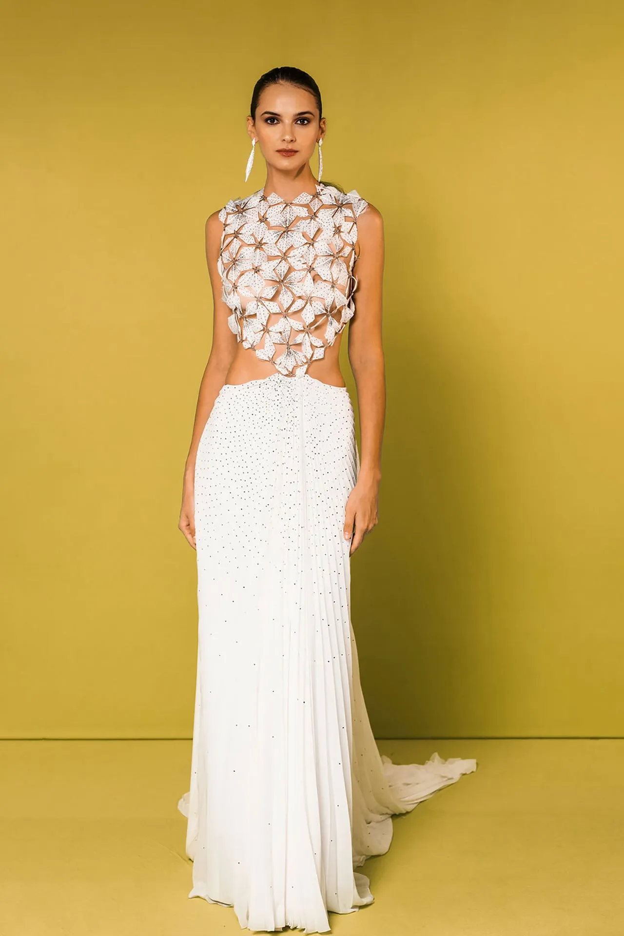 Organza and Feathered Flared Dress