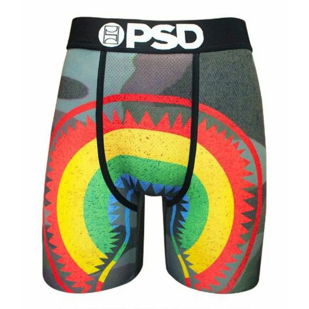 PSD Camo Rainbow Mens Multicolored Boxer Briefs Large Underwear - E31811024-MUL-L