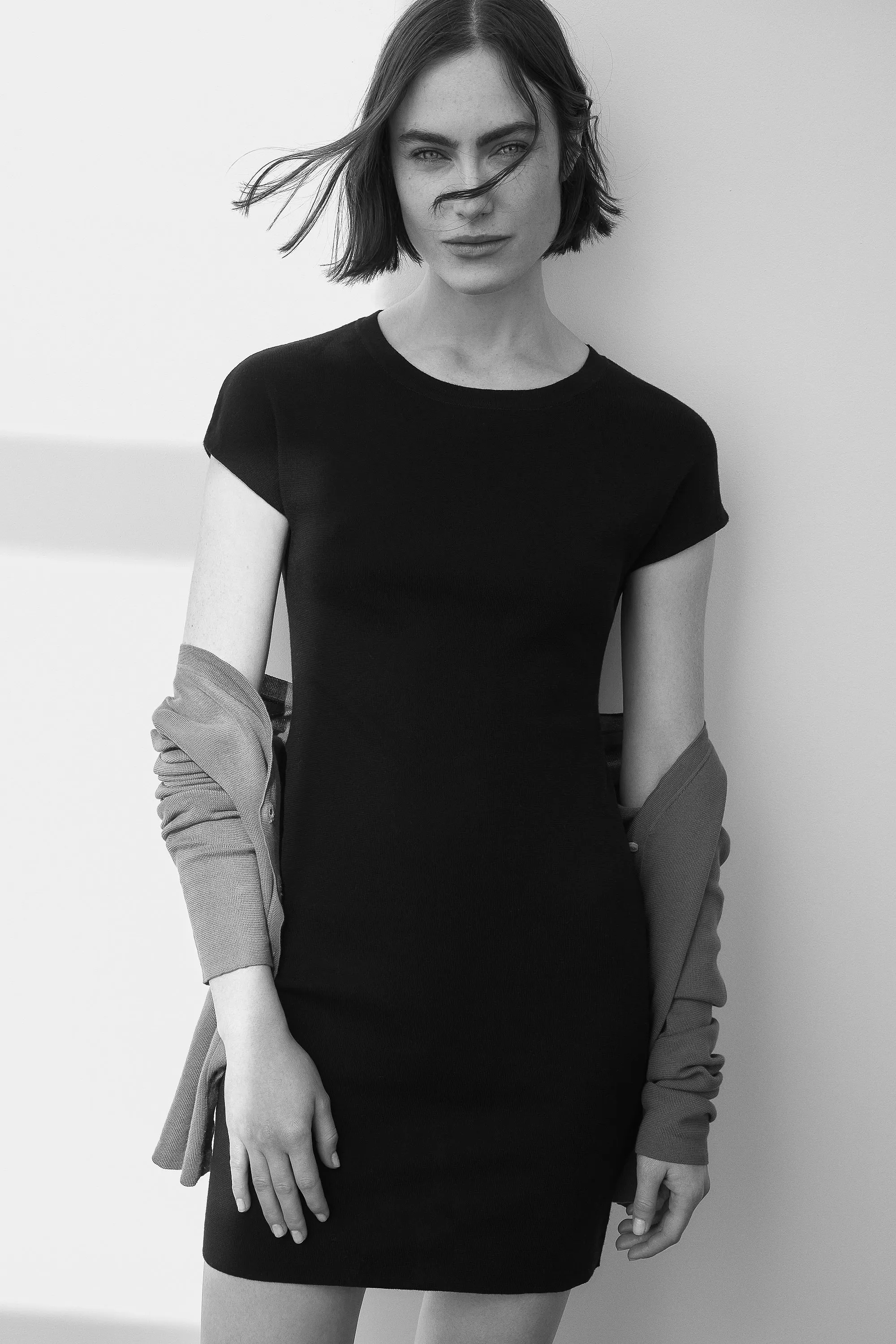 RANA sauge