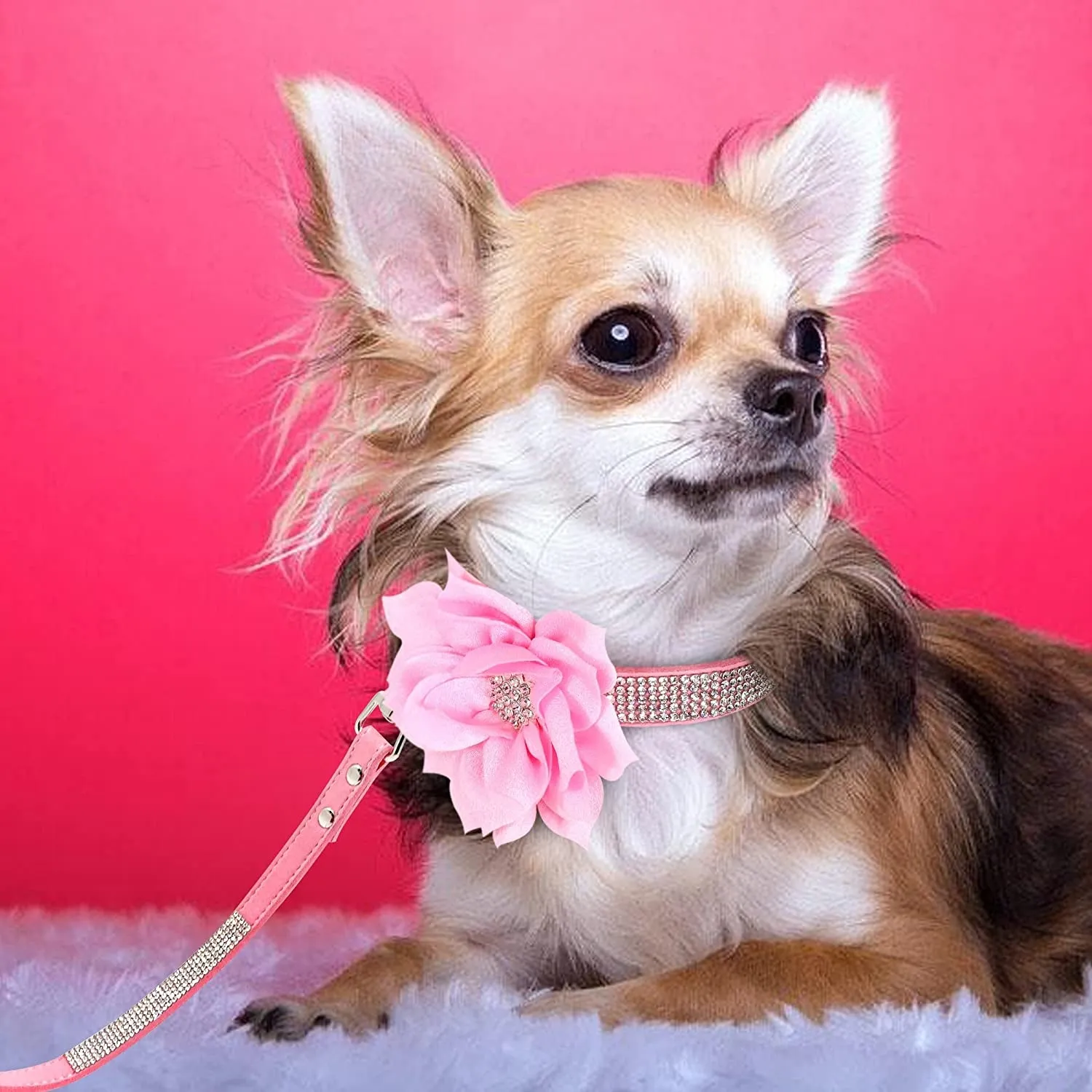 Rhinestone Suede Dog Collar Set