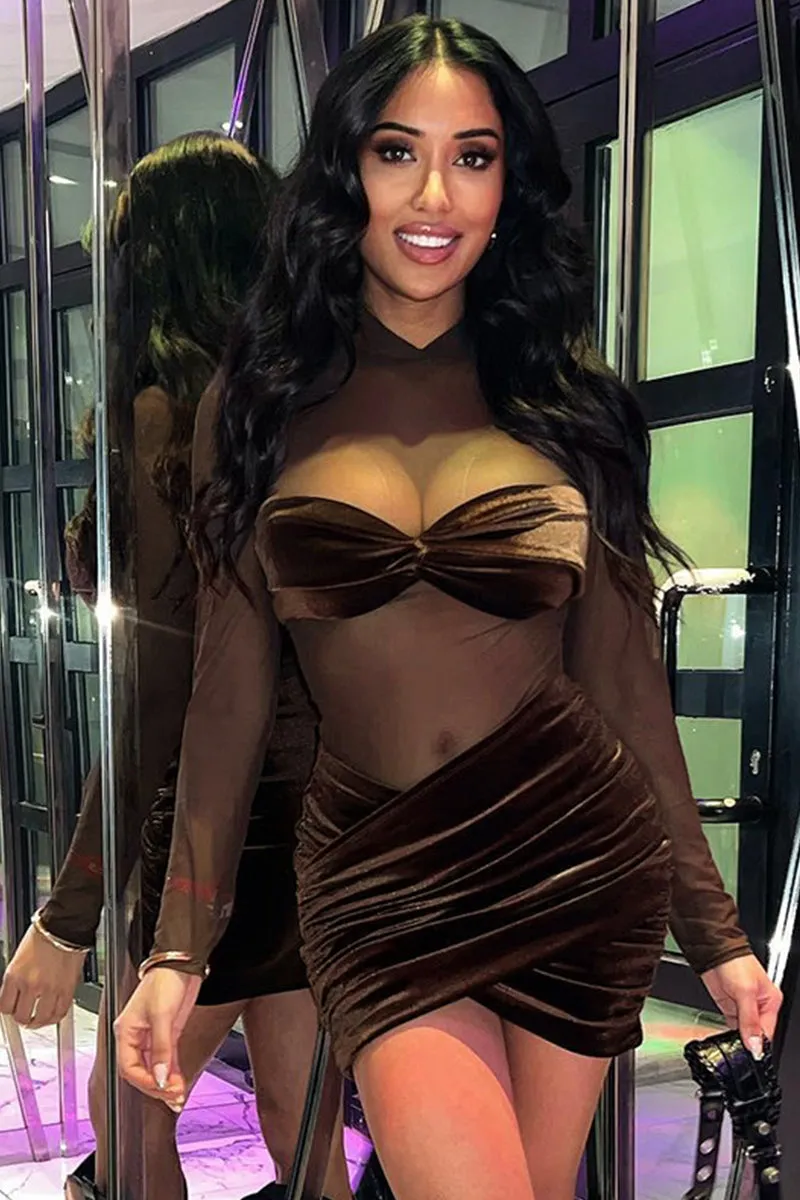 Velvet Mesh See Through Ruched Bodycon Mini Dress
